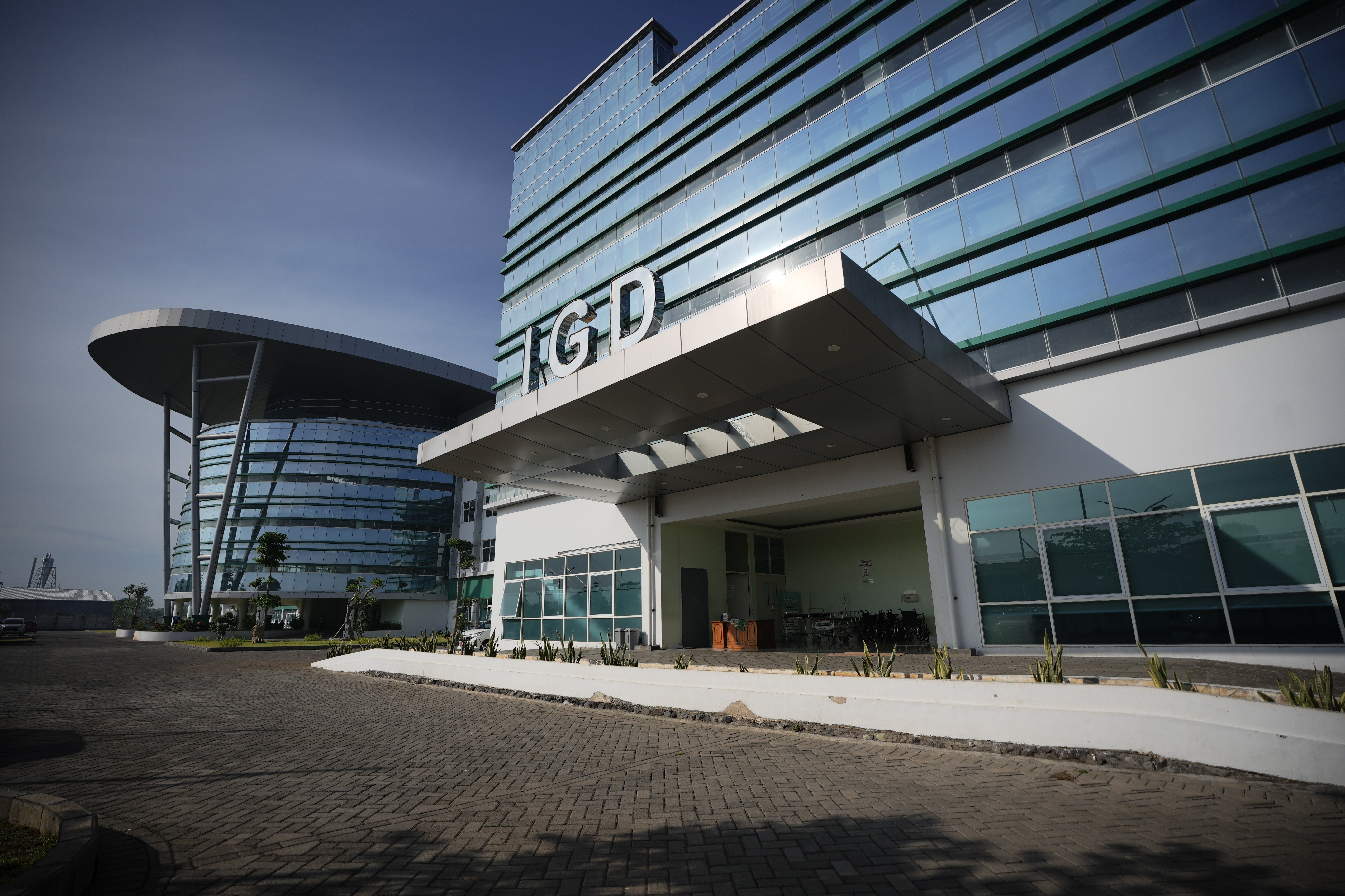 IGD